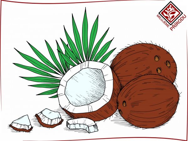 Kokosové vlákno (Kokos)
