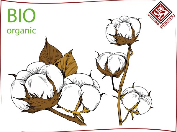 Bavlník bylinný (Bavlna bioorganická)