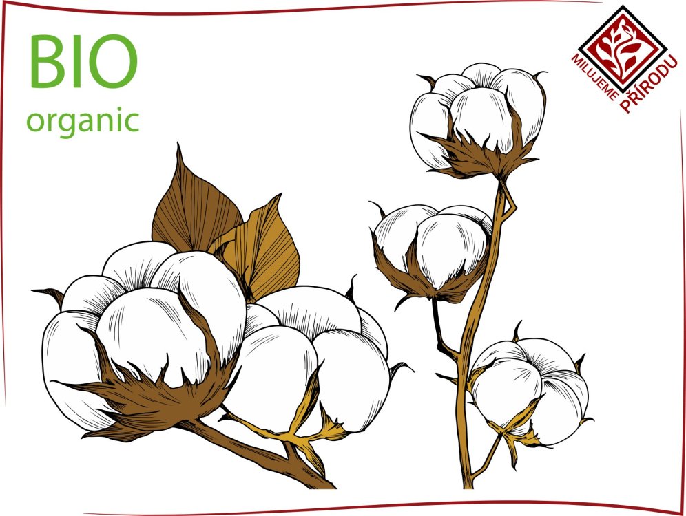Přírodní matrace -  bavlna bio organická