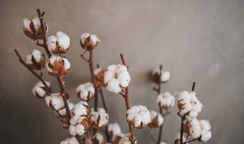 Prvotřídní přírodní materiály